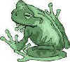 The Frog Story - The Power of Words